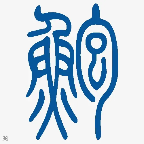 鲍