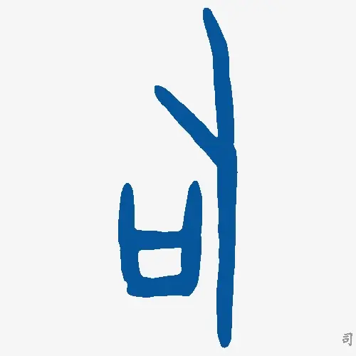 司