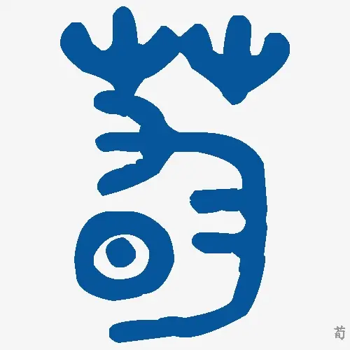 荀