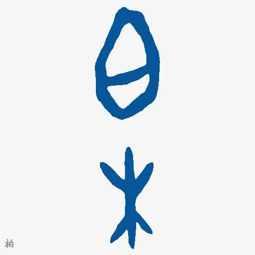 柏