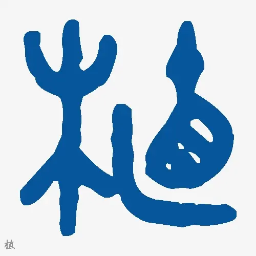 植