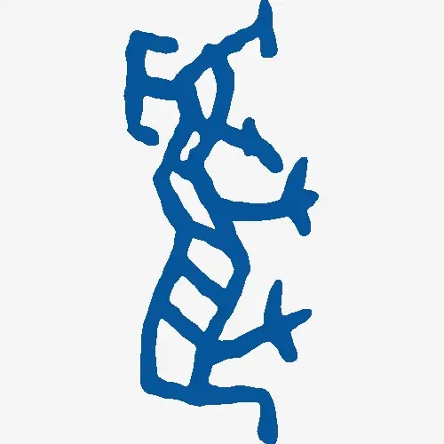 虎