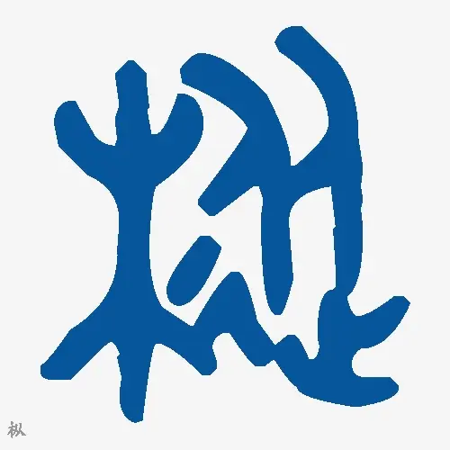 枞