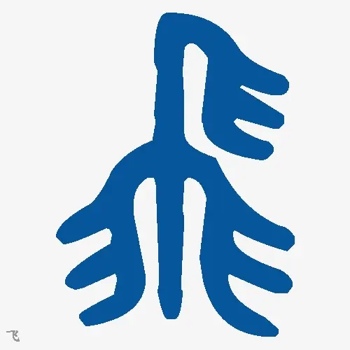飞