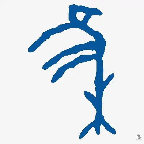 集
