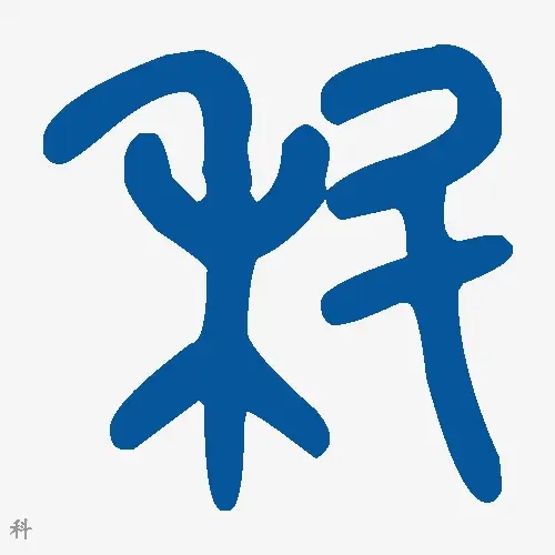 科
