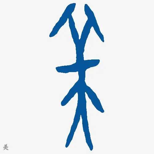 美