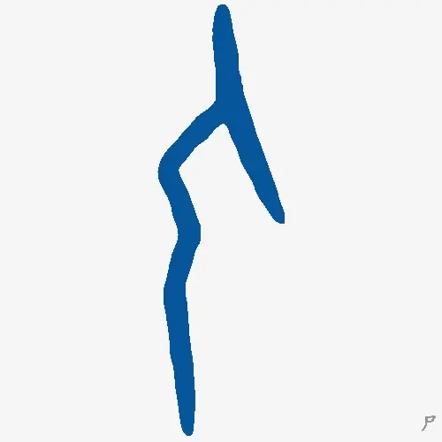 尸