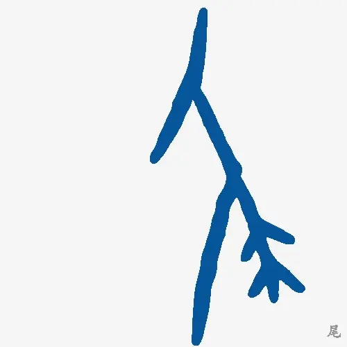尾
