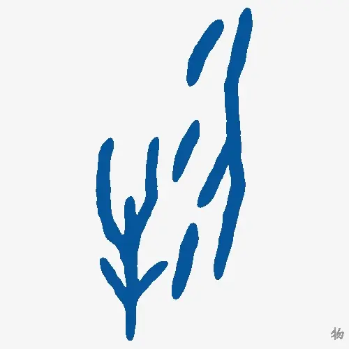 物