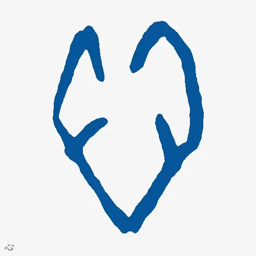 心