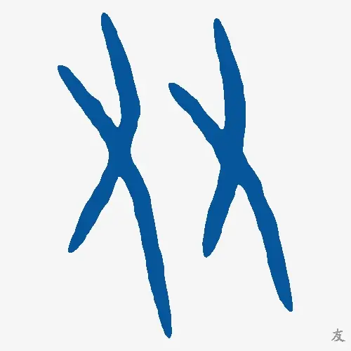 友