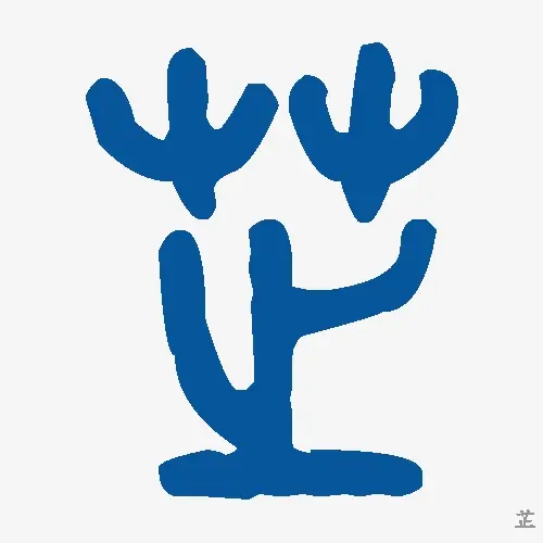 芷