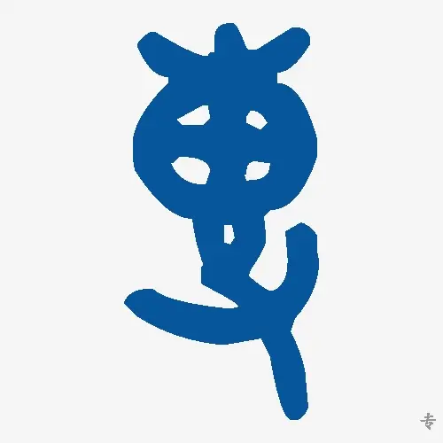专